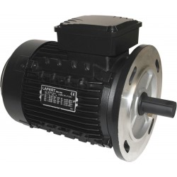 Moteur triphasé - Pièce de rechange origine fabricant