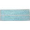 FILTRE DESODORISANT (X2)