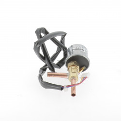 DETENDEUR ELECTRIQUE (SERVICE)